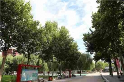 http://www.remicom.cn/school-213/document-id-448.html