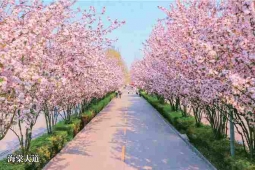 http://www.remicom.cn/school-180/document-id-480.html